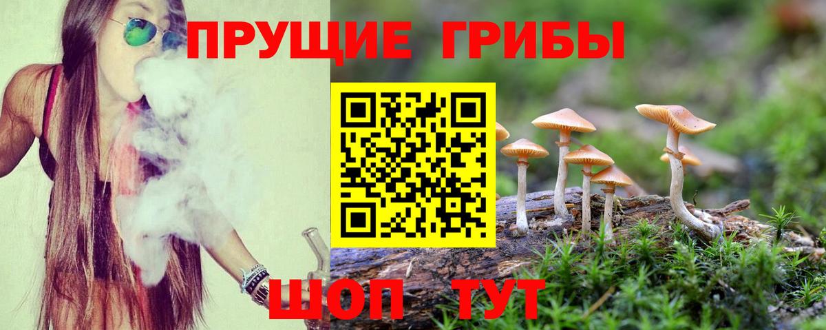 Гуково  Галлюциногенные грибы GOLDEN TEACHER  Галлюциногенные грибы GOLDEN TEACHER  Вход с VPN 